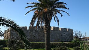 Tall curved and crenellated wall with palm tree in foreground \\