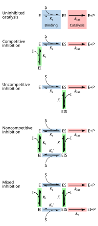 chemical equilibrium reaction formula for competitive, uncompetitive, non-competitive, and mixed inhibition