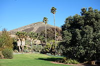 The Leaning Pine Arboretum