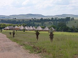 Muldersdrift is home to a large hospitality industry
