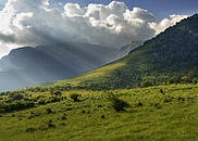 Central Balkan National Park