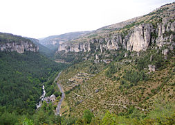 Parku Kombëtar Cévennes