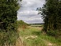 The Chalkland Way, north east of Bugthorpe