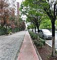 Beylikduzu Bicycle Lanes .