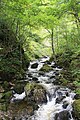 Along the Falls Trail