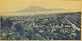 鹿児島市街地を城山より望む（1914年撮影） City views from Shiroyama(1914).