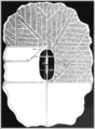 plan of an old-style longwall mine