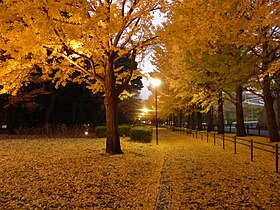 保土ケ谷公園 区庁舎位置