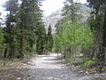 A hiking trail in the mountains.