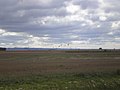 The northern head of the Coteau des Prairies, as seen from the Northeast near Lidgerwood, ND.