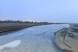 流經阿拉爾市的塔里木河