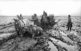 Ejército alemán detenido por el lodo sin fin en el óblast de Kursk en la primavera de 1942.