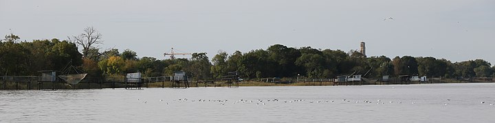 L'estuaire de la Gironde est classé parc naturel marin et appartient au réseau Natura 2000. La rive gauche fait partie du parc naturel régional du Médoc. Couvrant une superficie de 635 km2, c'est le plus vaste estuaire d'Europe[29].