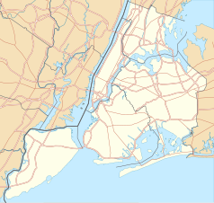 Mapa konturowa Nowego Jorku, w centrum znajduje się punkt z opisem „Court Street – Borough Hall”