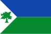 Flag of Cogua