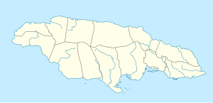 Palmetto Point is located in Jamaica