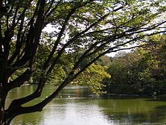 Parcul Montsouris.