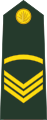 Sergeant (Bengali: সার্জেন্ট, romanized: Sārjēnṭa) (Bangladesh Army)[28]