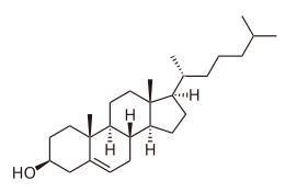 Image illustrative de l’article Cholestérol