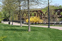 View from the Shelton River Walk