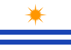 Flag of Palmas, Tocantins, Brazil