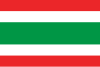 Flag of Jardín
