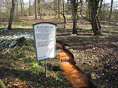 Eisenhaltiges Gewässer im Ruhrgebiet