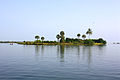 Image 63Bone Island, Batticaloa (from List of islands of Sri Lanka)
