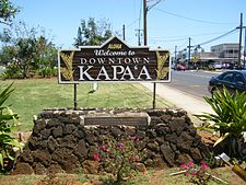 Kapaa ê kéng-sek