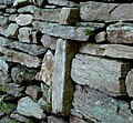 Croix sur l'ancien chemin du Nougayrol à Andabre n°1.