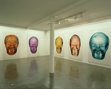 Installation view of Celebrity Skull Portraits