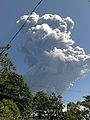 The eruption column on December 29, 2013