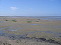 Lower Saxon Wadden Sea National Park