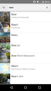 Wikipedia Android app search with descriptions