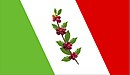 Flag of District of La Coipa, Province of San Ignacio, Cajamarca Department, Peru