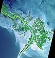 Mississippi delta from space