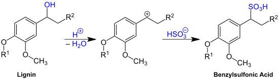 Generalized structure of lignosulfonates