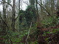 The Laigh Craig Mill ruins from below Lynn Spout. This mill was associated with Kilwinning Abbey, together with Garnock and Sevenacres mills.[14]