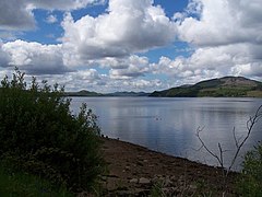 Shoreline and Loch Fyne