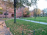 Thumbnail for File:Fall leaves on the green lawn, at Harvard University,. November, 2019. pic.2 Cambridge, Massachusetts.jpg