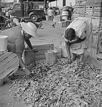 1942: Farmers' market in Washington, D.C.