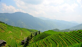 Longji terraces