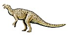 Muttaburrasaurus langdoni