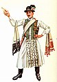 Image 17A vőfély in traditional costume, c. 1885 (from Culture of Hungary)