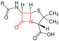 Grundstruktur der Penicilline – der β-Lactamring ist rot markiert.