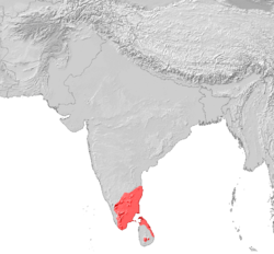 Мапа поширення тамільської мови в Азії