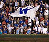 Cubs Win Flag