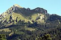 view from south (Grän). von Süden mit Bad Kissinger Hütte