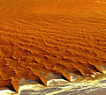 Dune del Namib sulla costa atlantica.