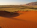 Red Namib sand dune